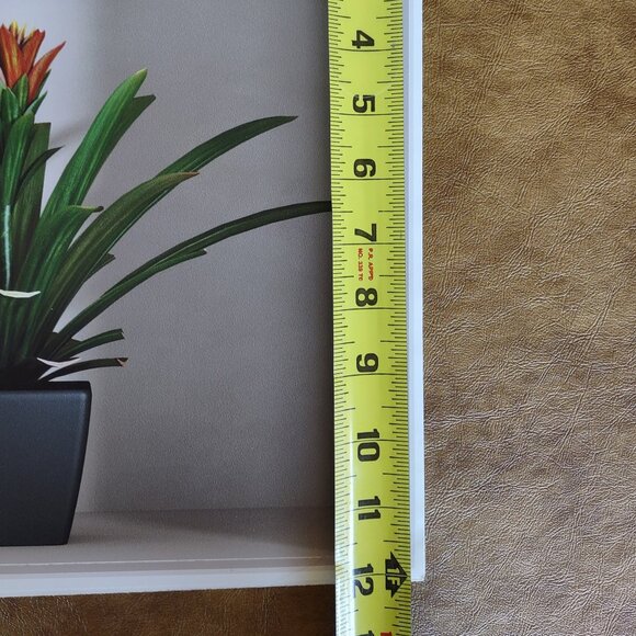 Wall Decals Set of 3 Shadowbox Tropical Plants - Picture 7 of 10